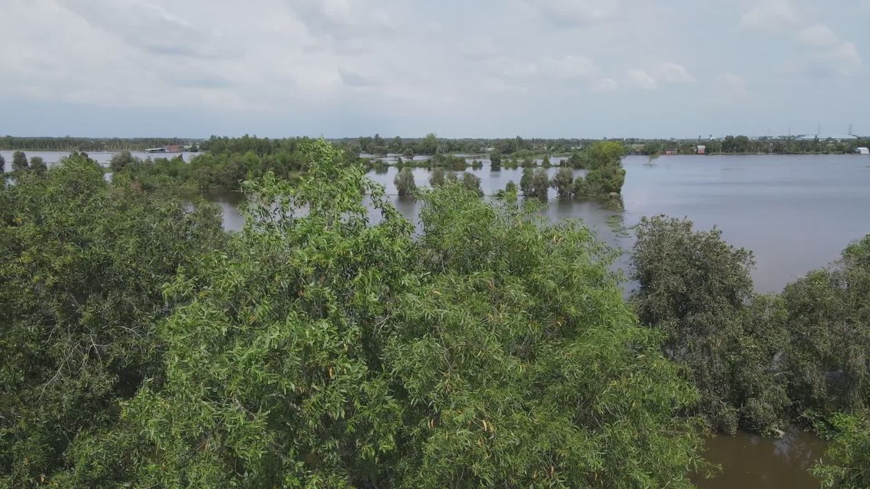Aerial View of Lush Green Forest and River Free Stock Video Footage ...