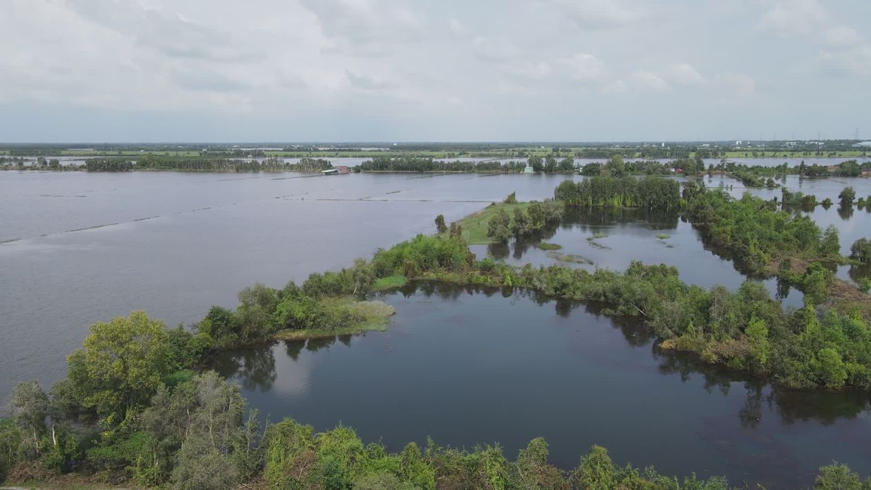 Scenic Aerial View of Serene Lake Landscape Free Stock Video Footage ...