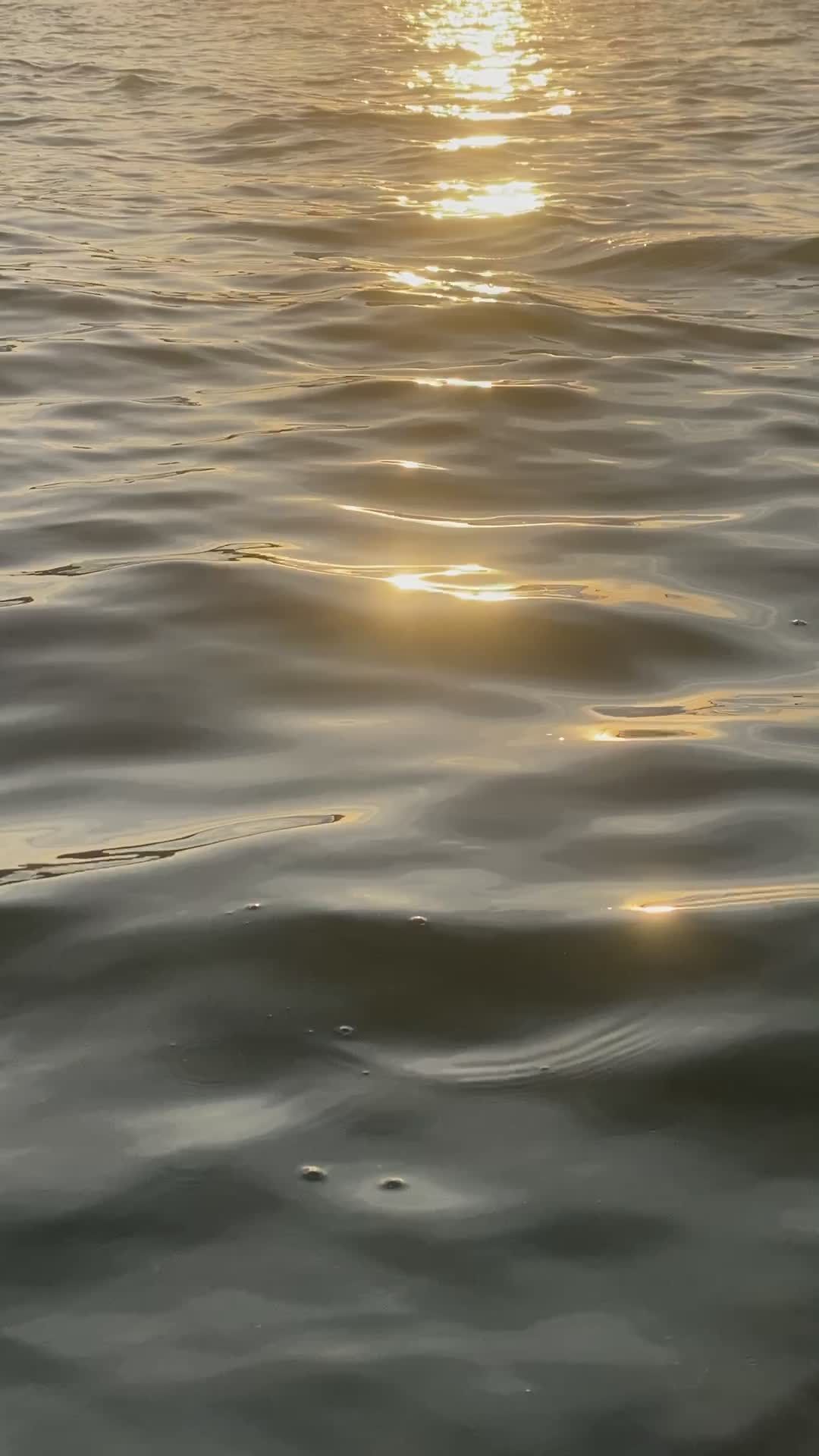 Surfaces Videos, Download The BEST Free 4k Stock Video Footage ...
