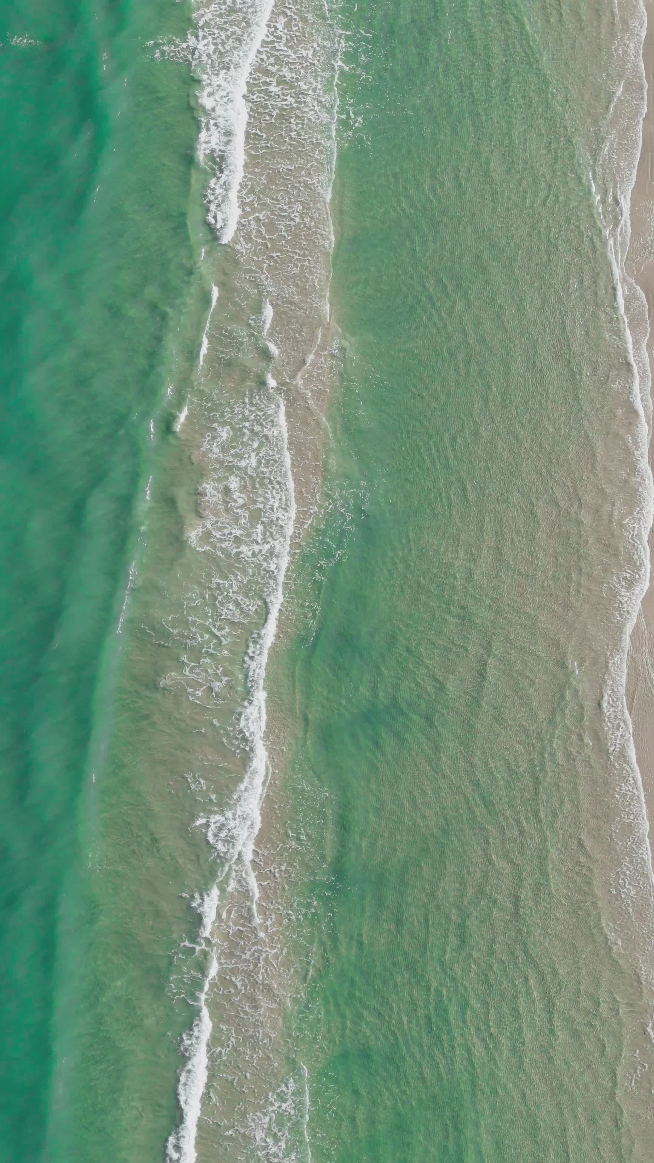 Video by Hameen Reynolds