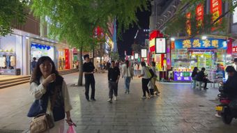伊春免费下载免费下载视频素材视频素材视频素材