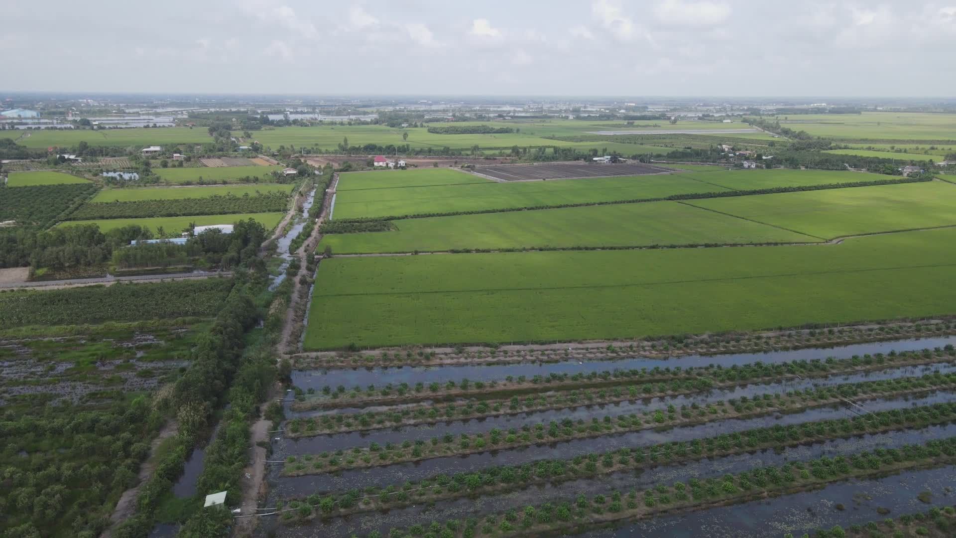 Aerial View of Lush Green Agricultural Fields Free Stock Video Footage ...
