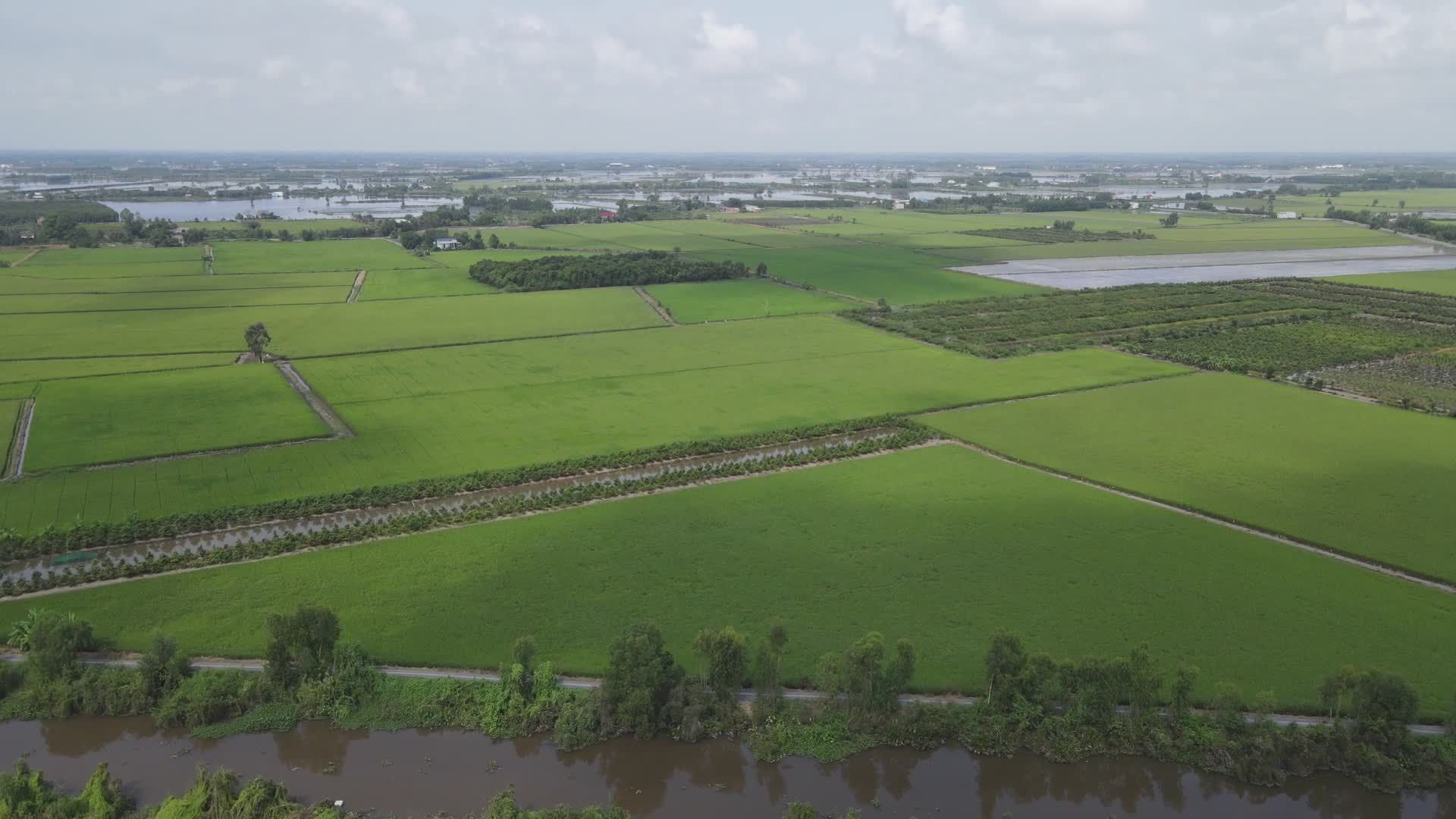 Aerial View of Lush Green Fields During Daytime Free Stock Video ...