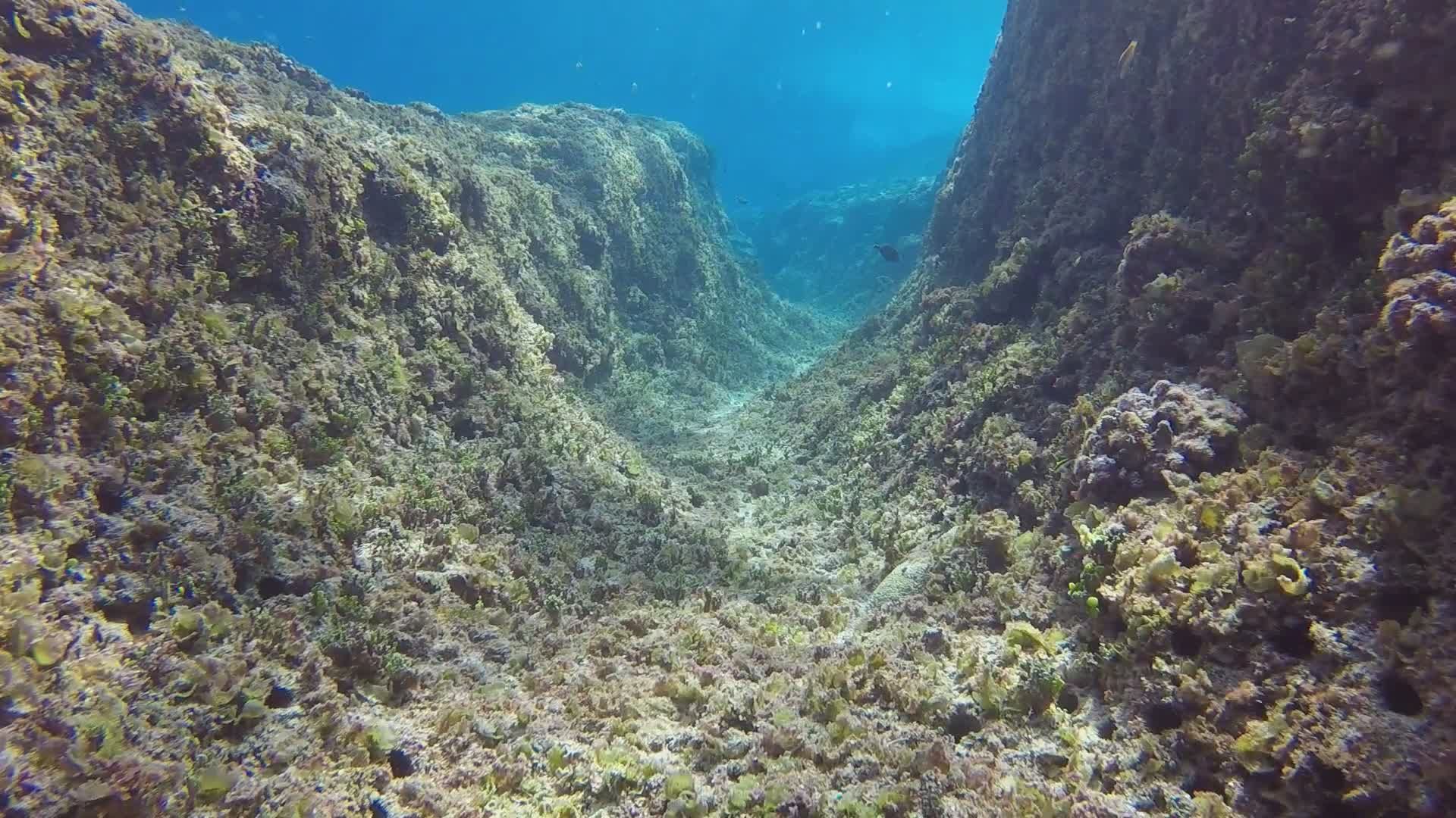 Canyon Environment Videos, Download The BEST Free 4k Stock Video ...