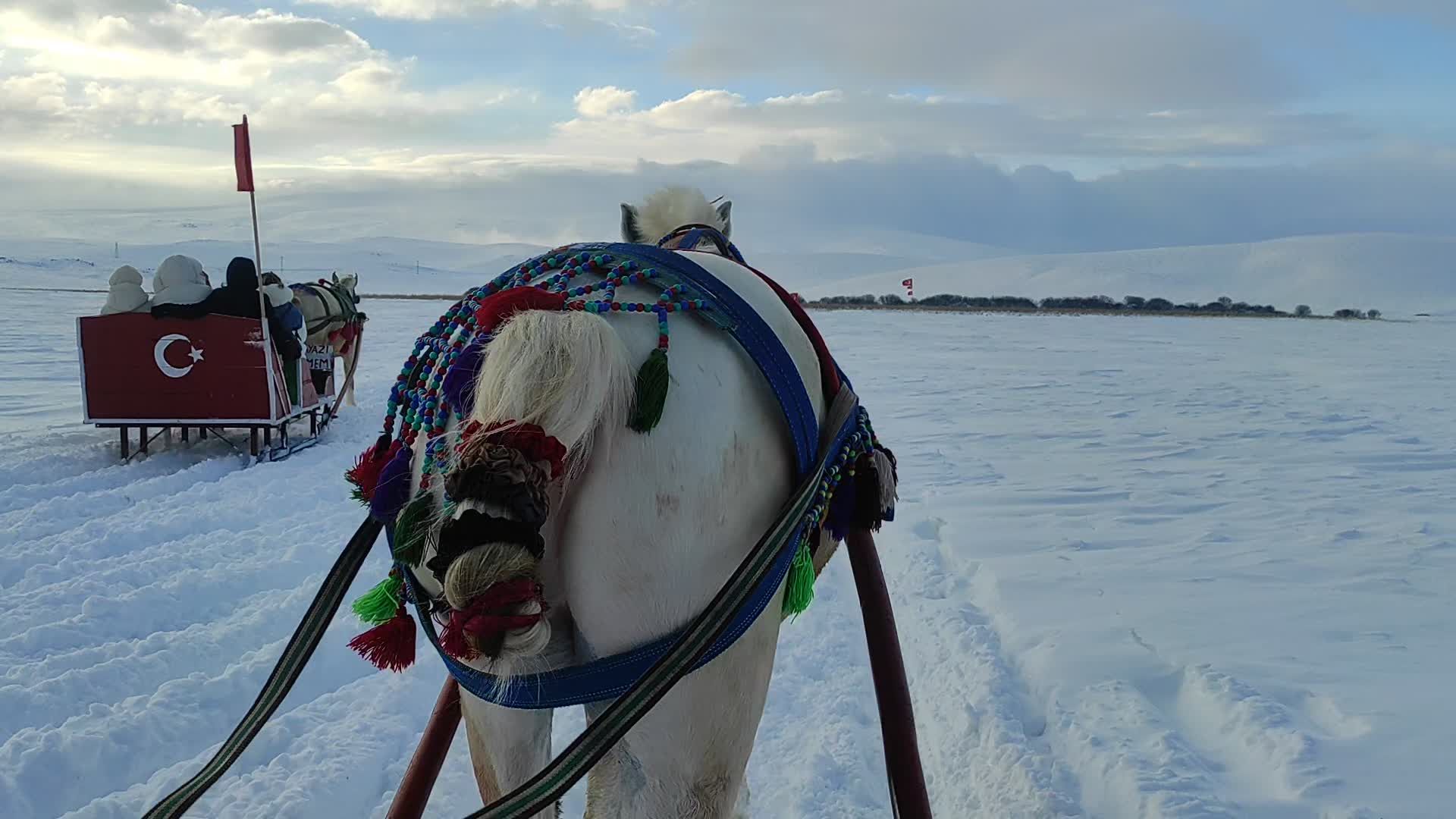 Scenic Winter Horse-Drawn Sleigh Ride in Snow Free Stock Video Footage ...