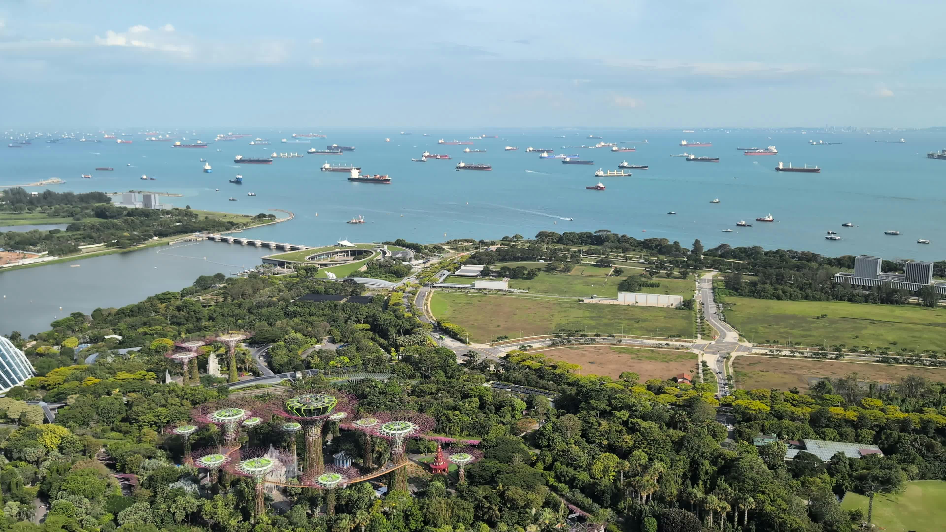 Video by Nirjhar Basak