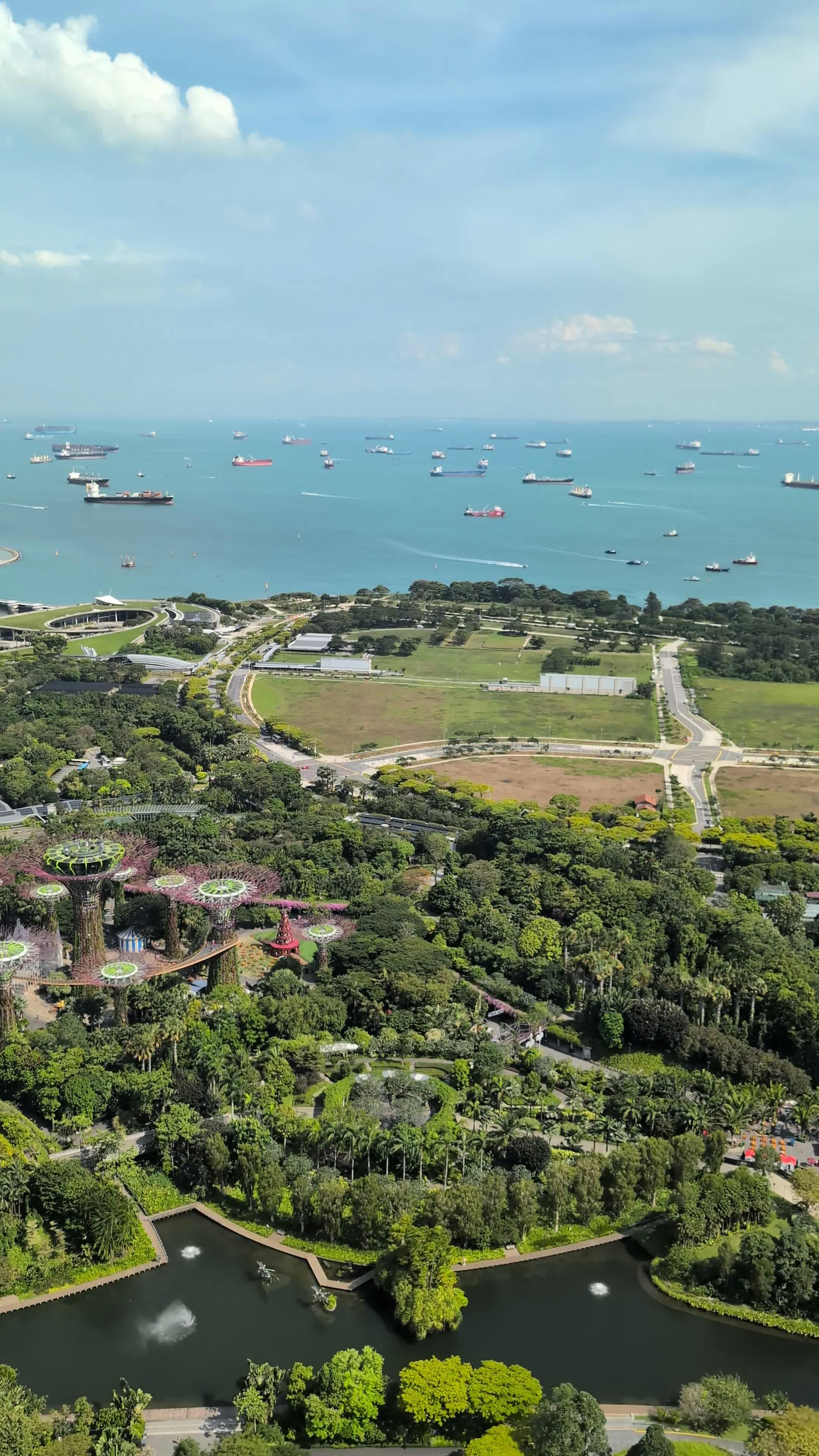 Video by Nirjhar Basak