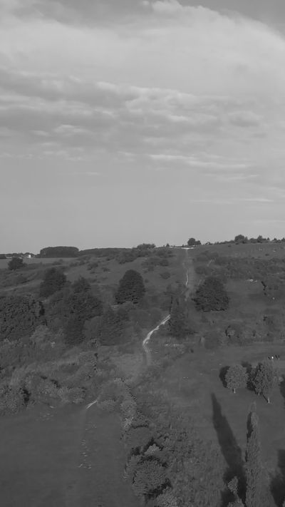 Altaf Shah's fantasy landscape cinematic video