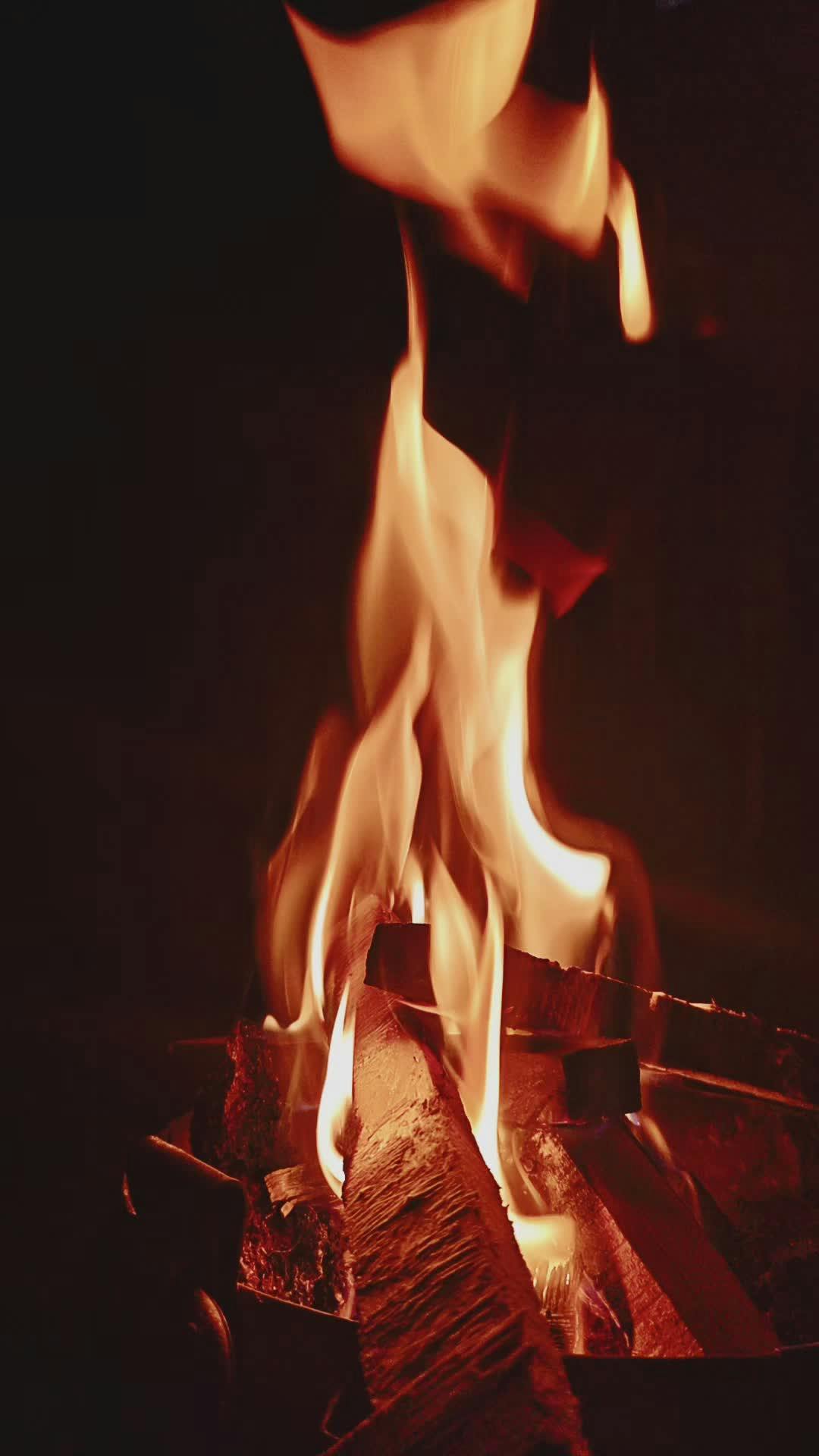 cozy fire burning on wooden logs 35064517