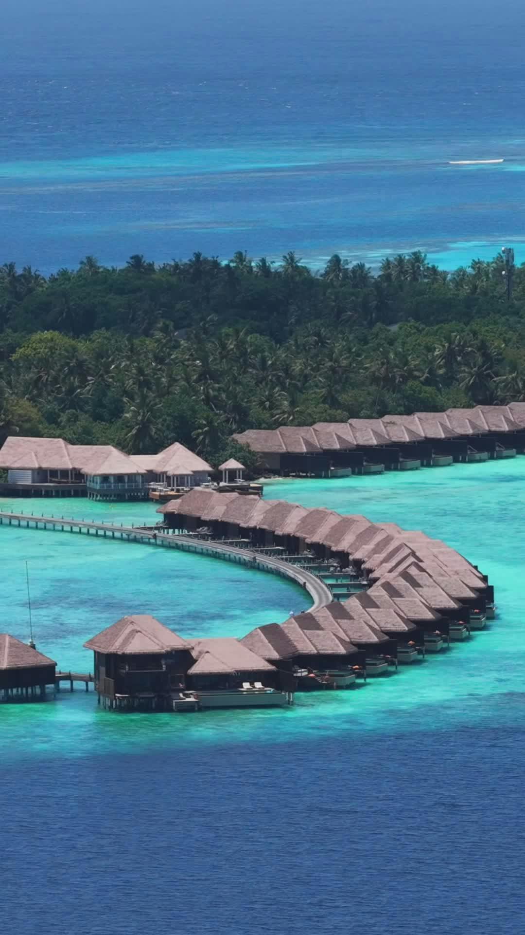 Video by Max Zaharenkov