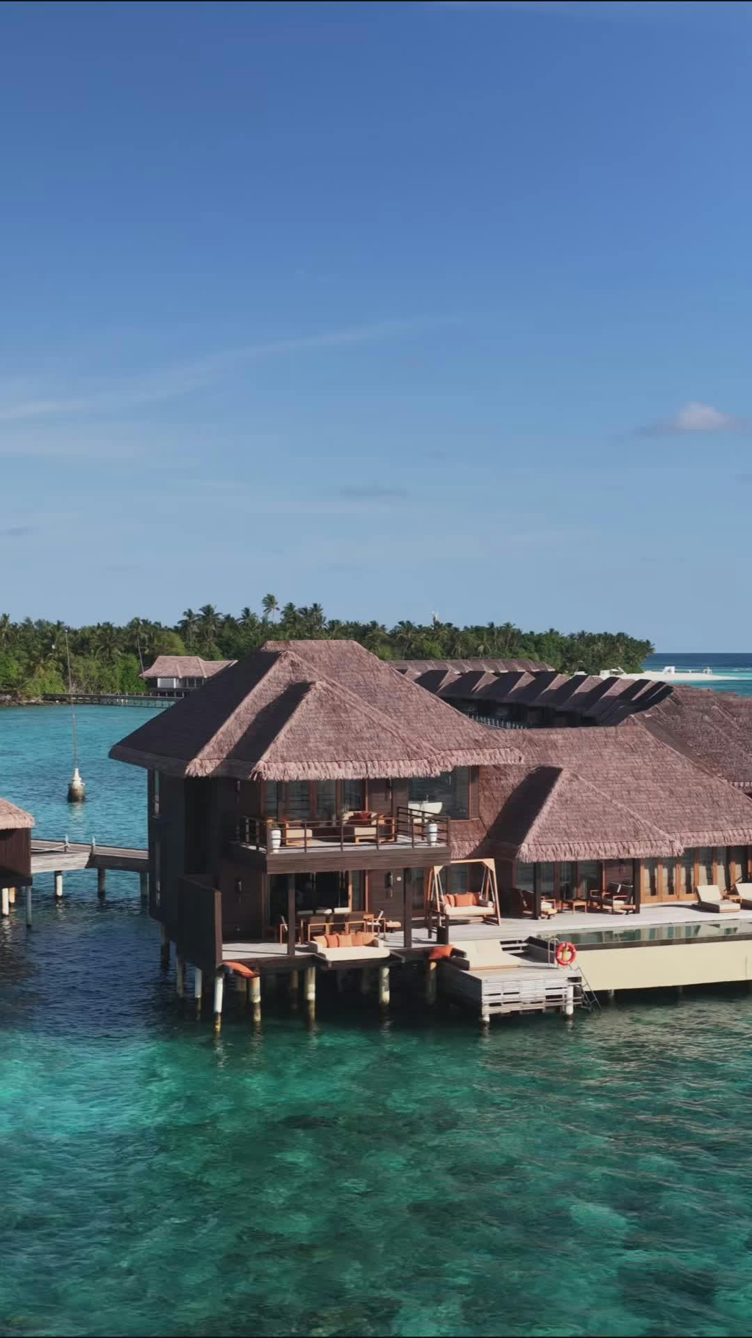 Video by Max Zaharenkov