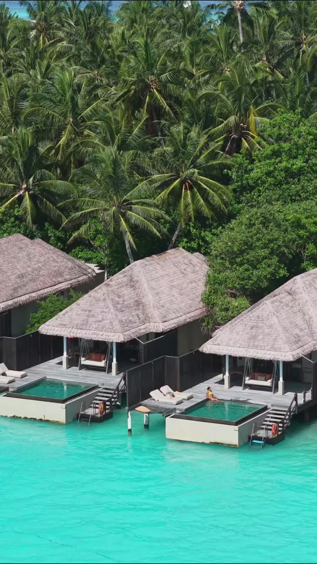 Video by Max Zaharenkov