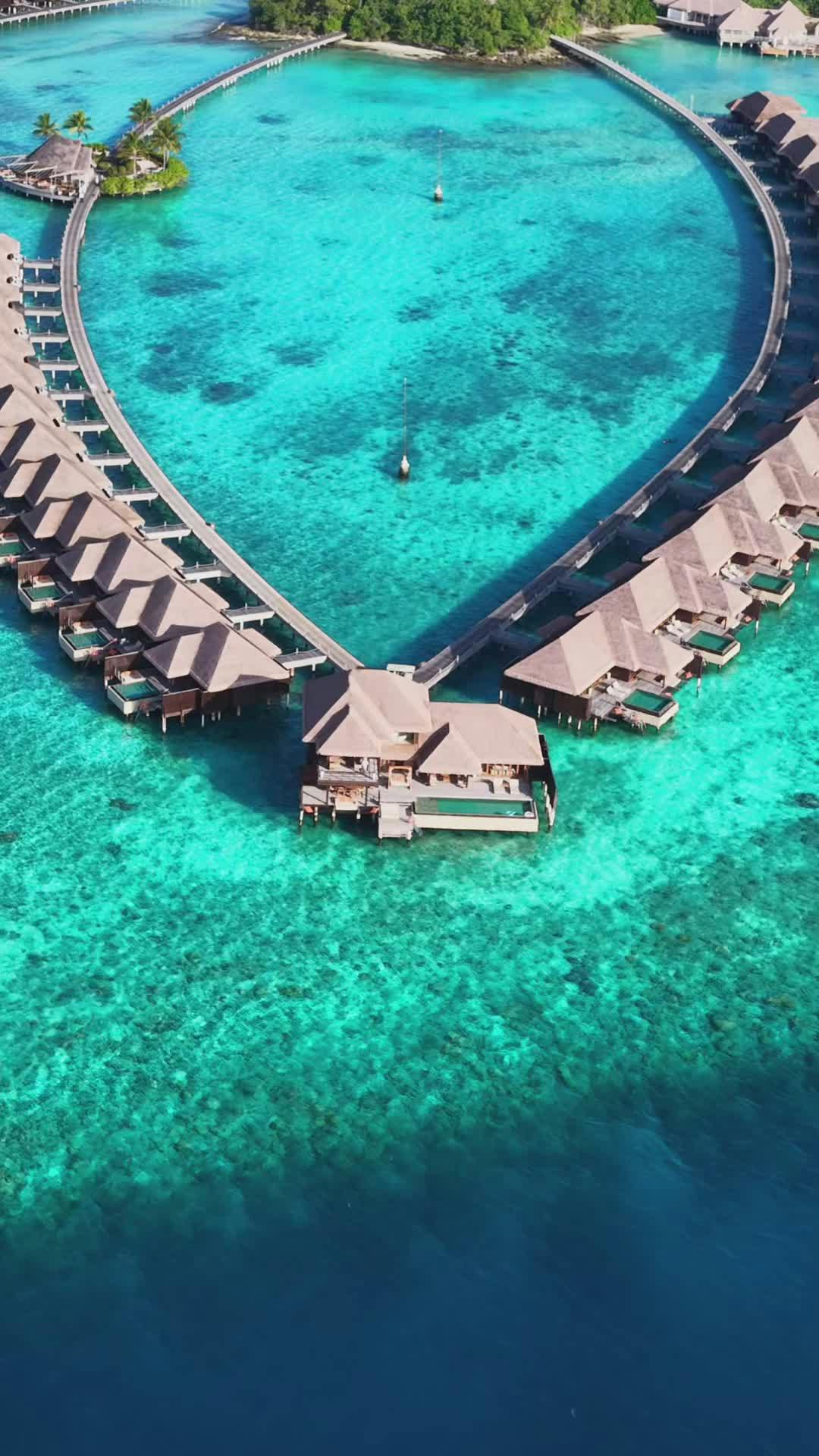 Video by Max Zaharenkov