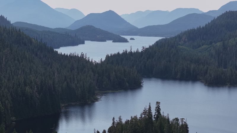 Aerial View of Forest and Mountain Lake Free Stock Video Footage ...