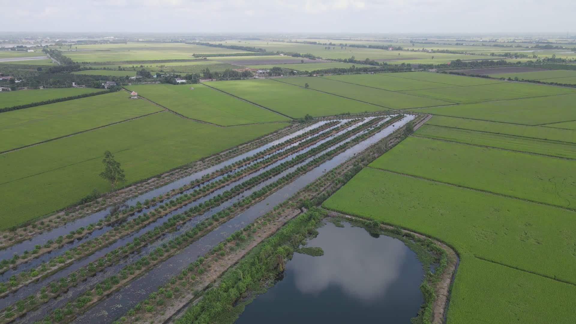 Farm Without Crops Videos, Download The BEST Free 4k Stock Video ...