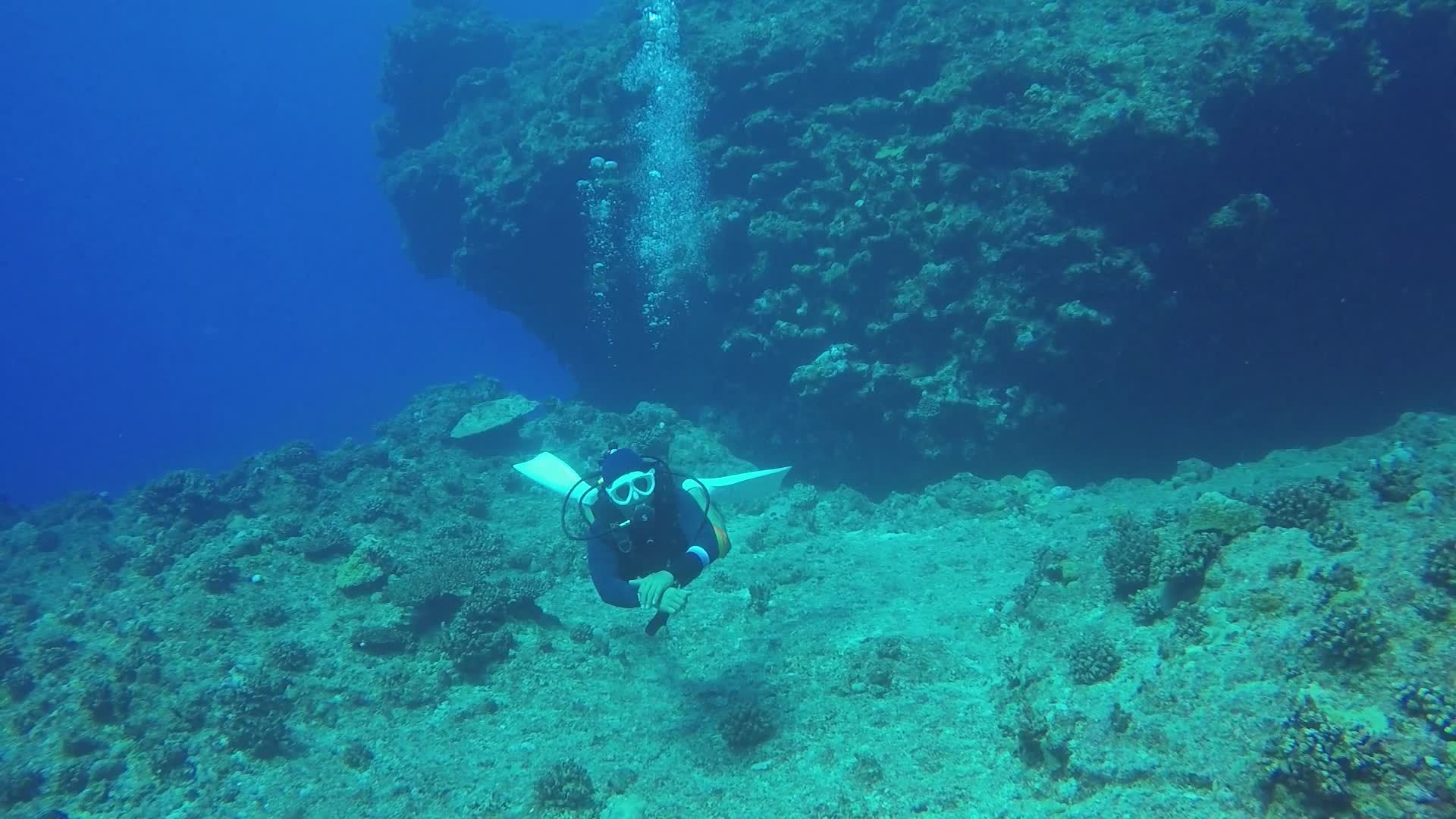 Scuba Diver Exploring Coral Reef Underwater Free Stock Video Footage ...