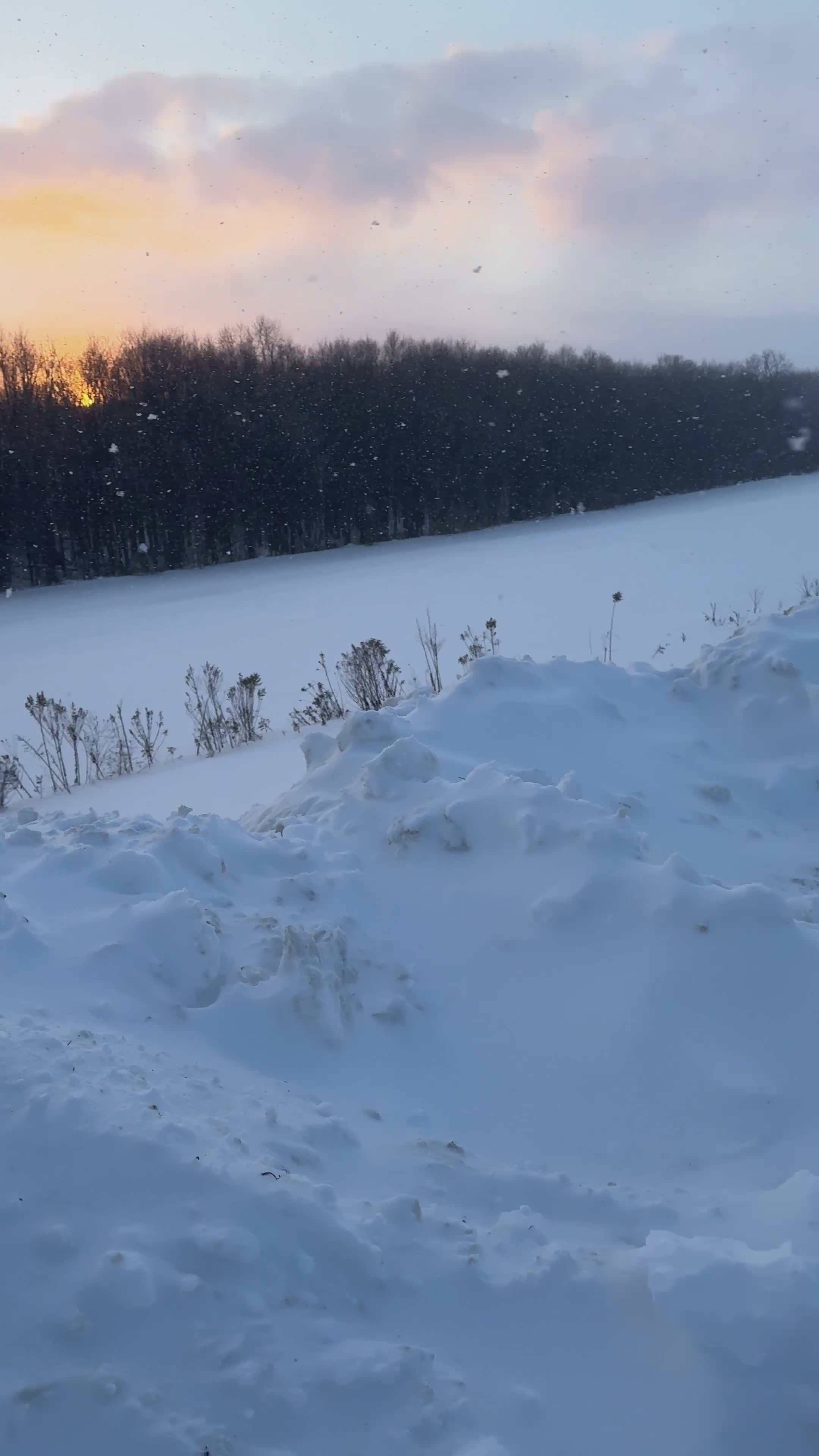 Peaceful Winter Landscape by a Frozen Lake Free Stock Video Footage ...