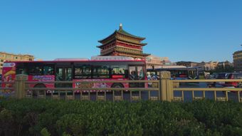 伊春免费下载免费下载视频素材视频素材视频素材