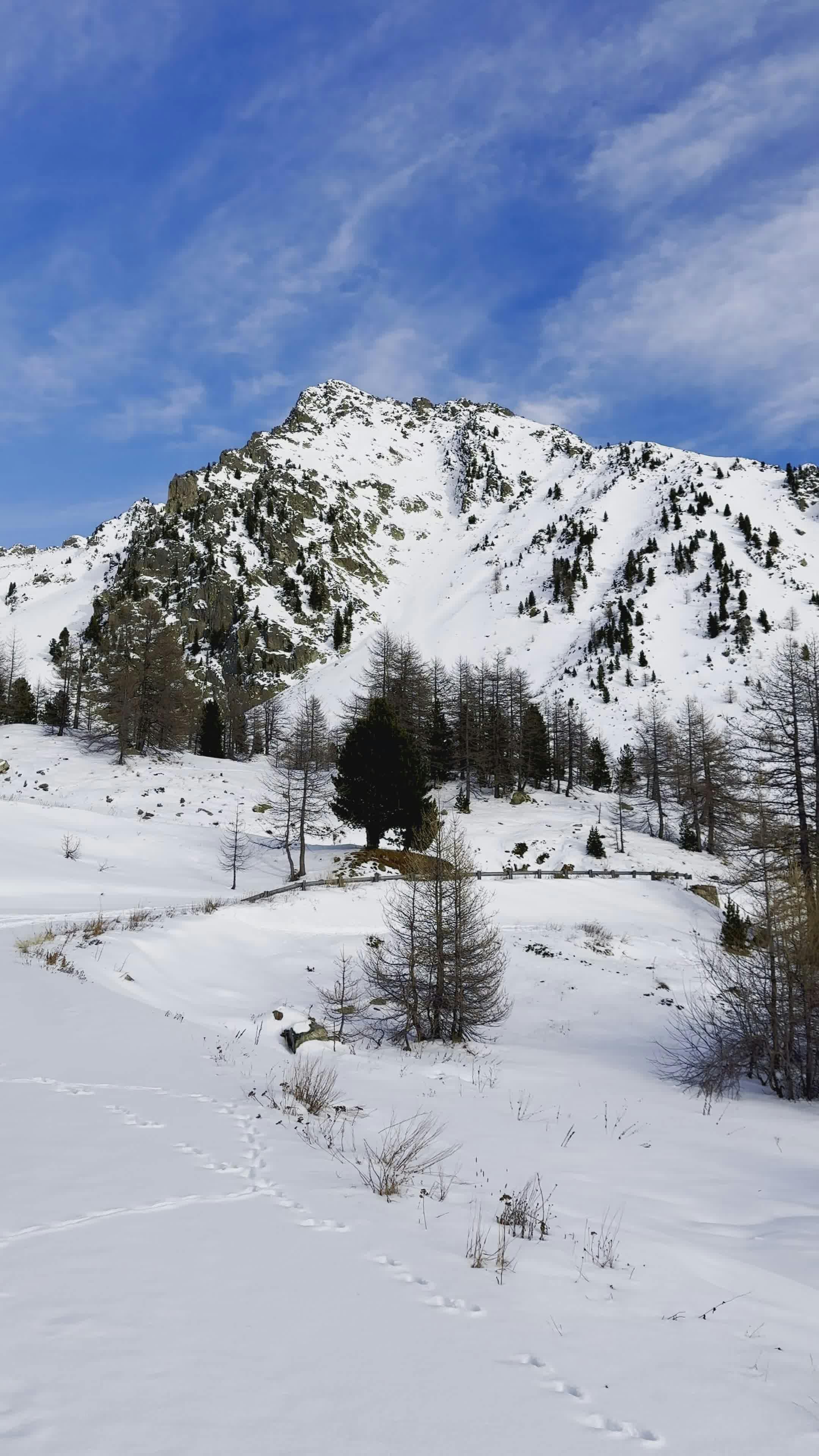 Video by Gaetan THURIN