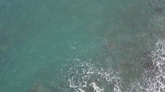 海面航拍免费下载免费下载视频素材