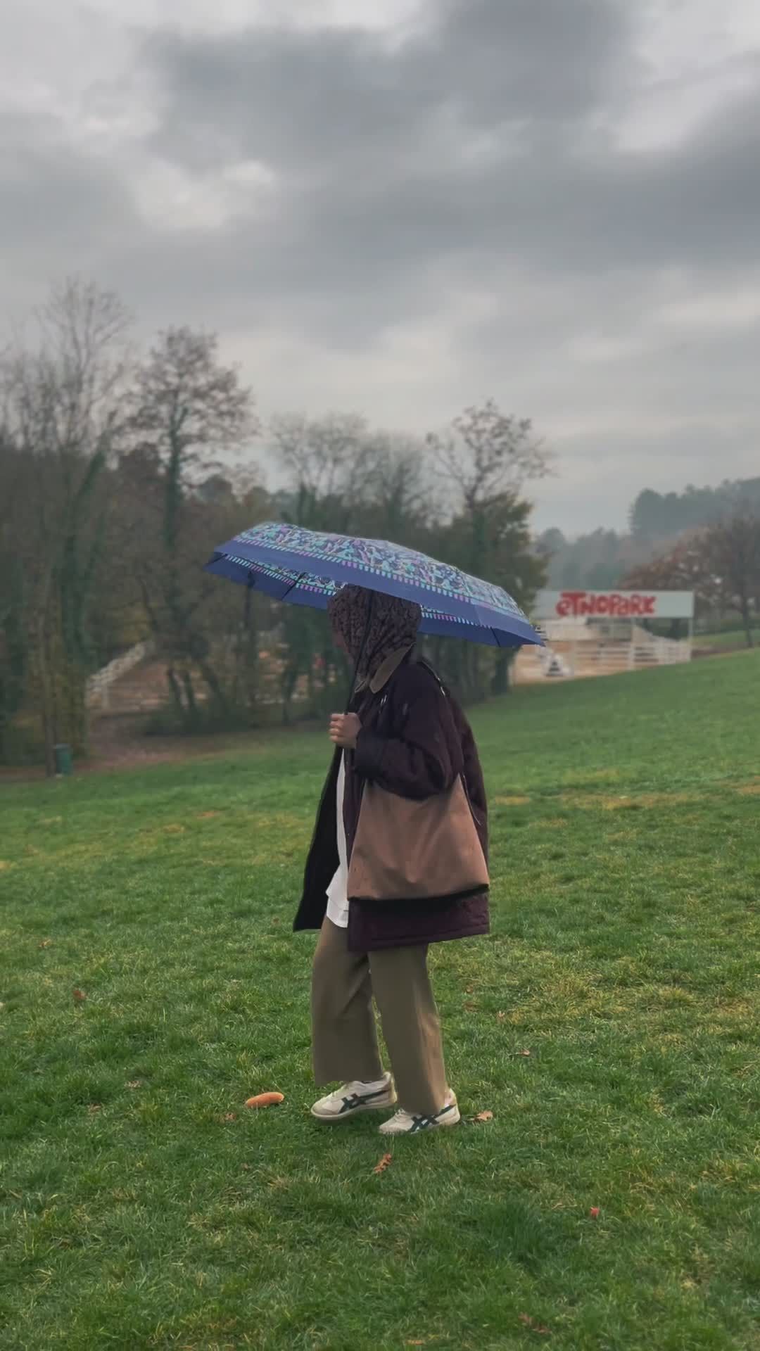 Woman Enjoys Rainy Day with Umbrella in Meadow Free Stock Video Footage ...