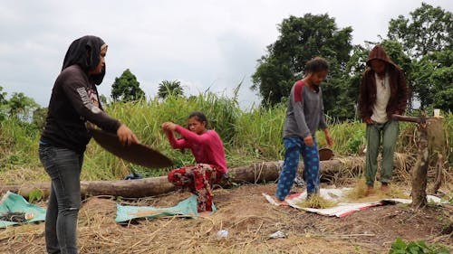 People Working In The Field