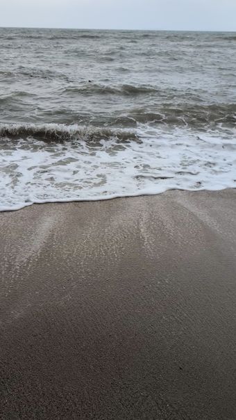 海边免费下载免费下载高清视频高清视频视频素材