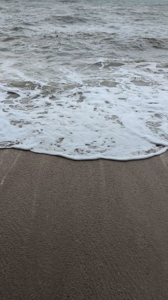 海边免费下载免费下载高清视频高清视频视频素材