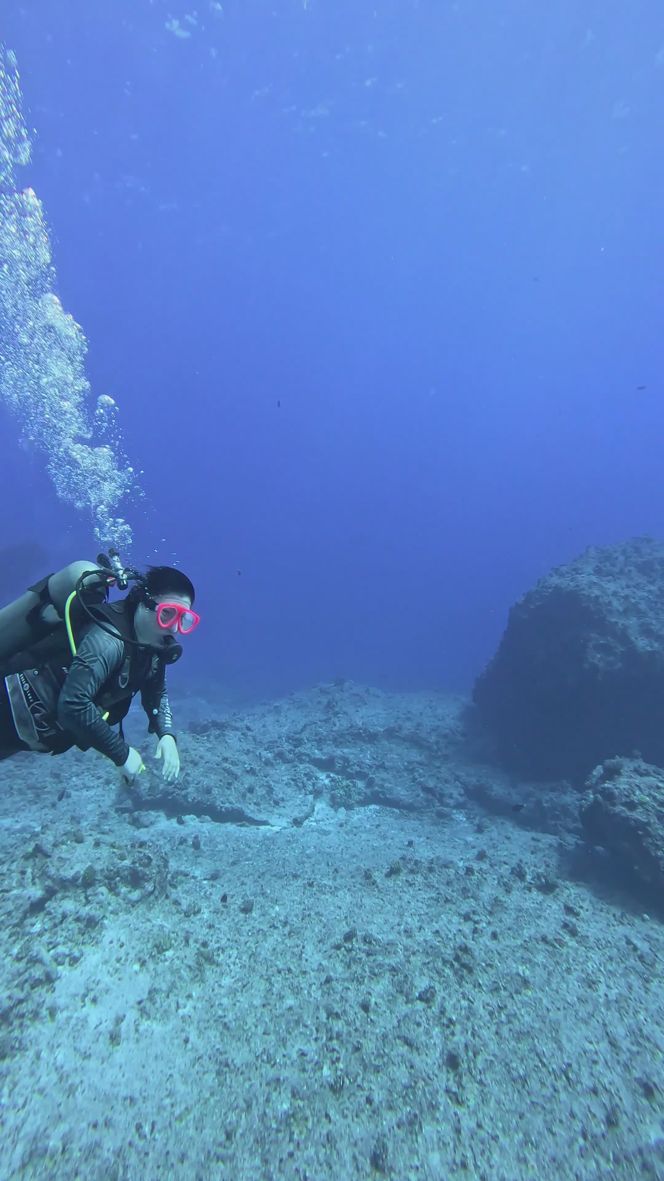 Scuba Diver Exploring Vibrant Underwater World Free Stock Video Footage ...