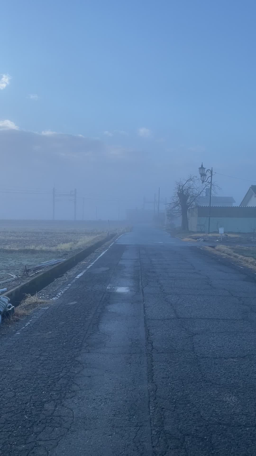 Foggy Rural Road at Dawn in Winter Free Stock Video Footage, Royalty ...