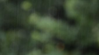 下雨视频素材