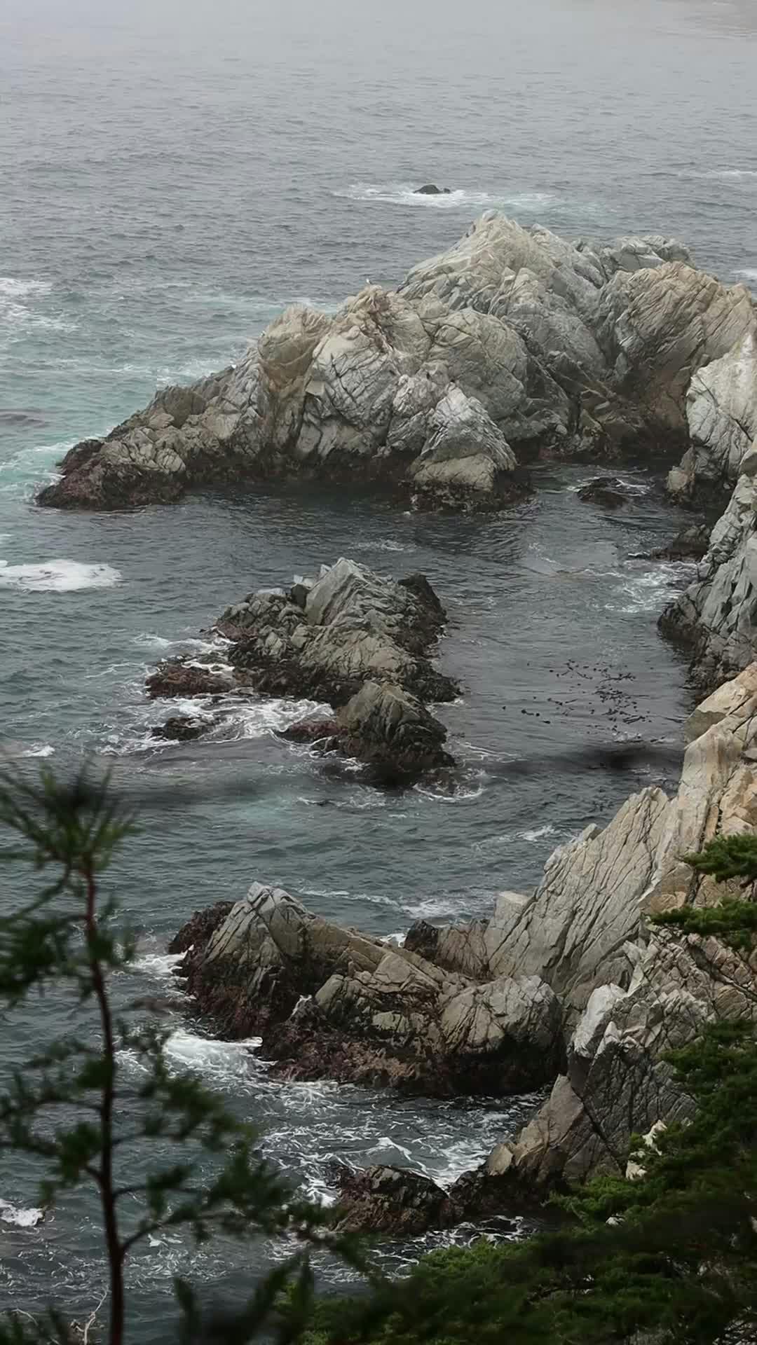 Video by Robin Heidrich