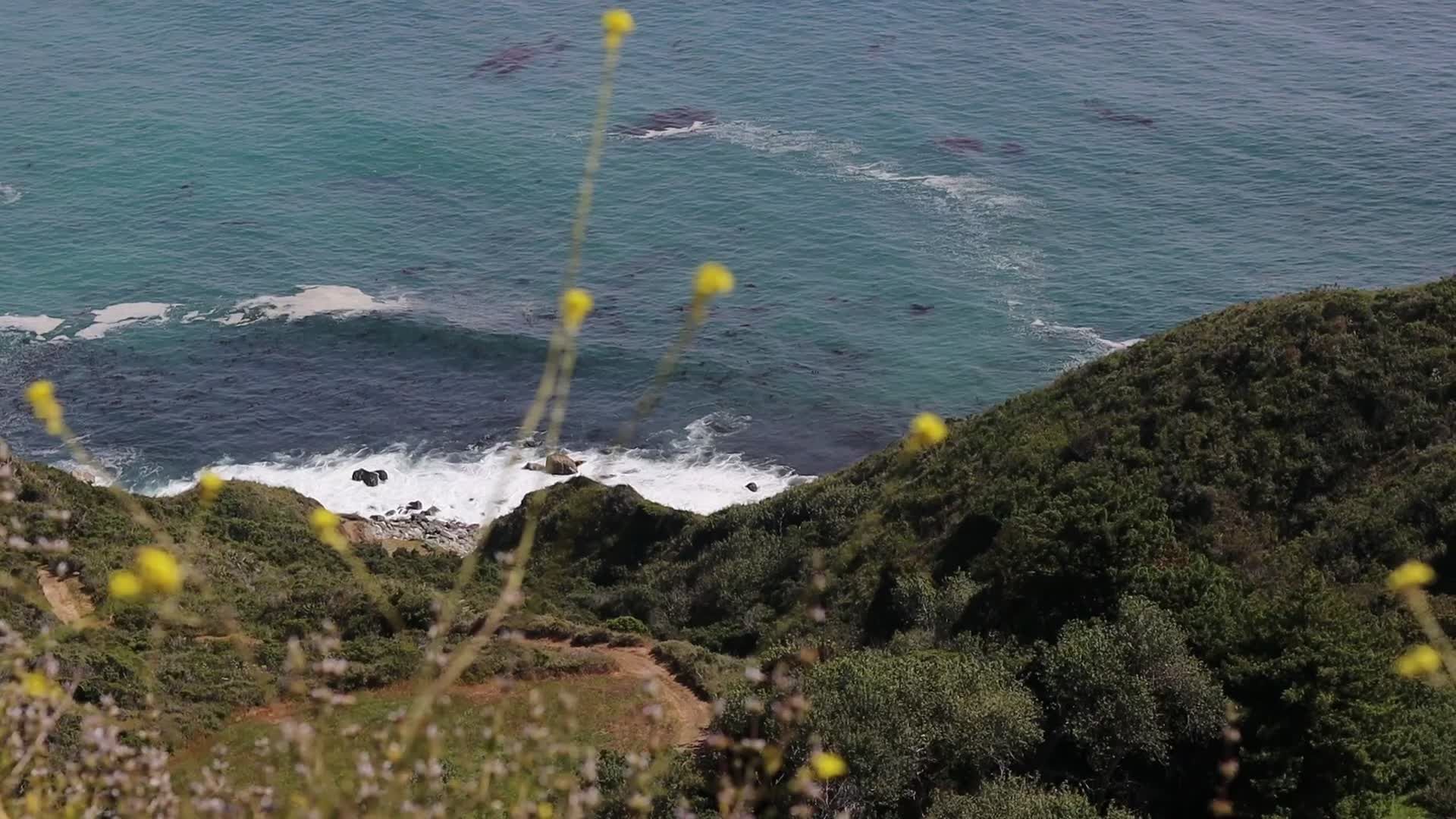 Video by Robin Heidrich