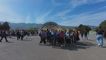少先队免费下载免费下载视频素材