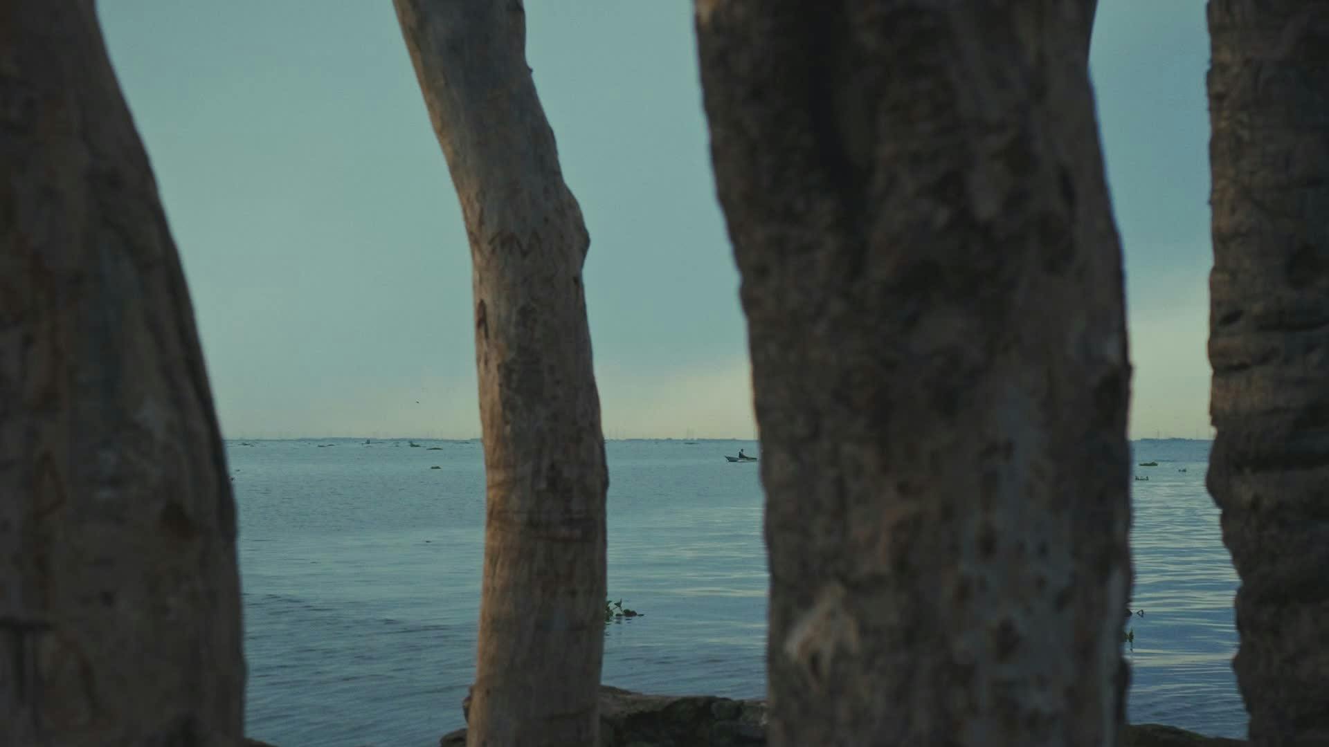 Video by Mohamed Weaam