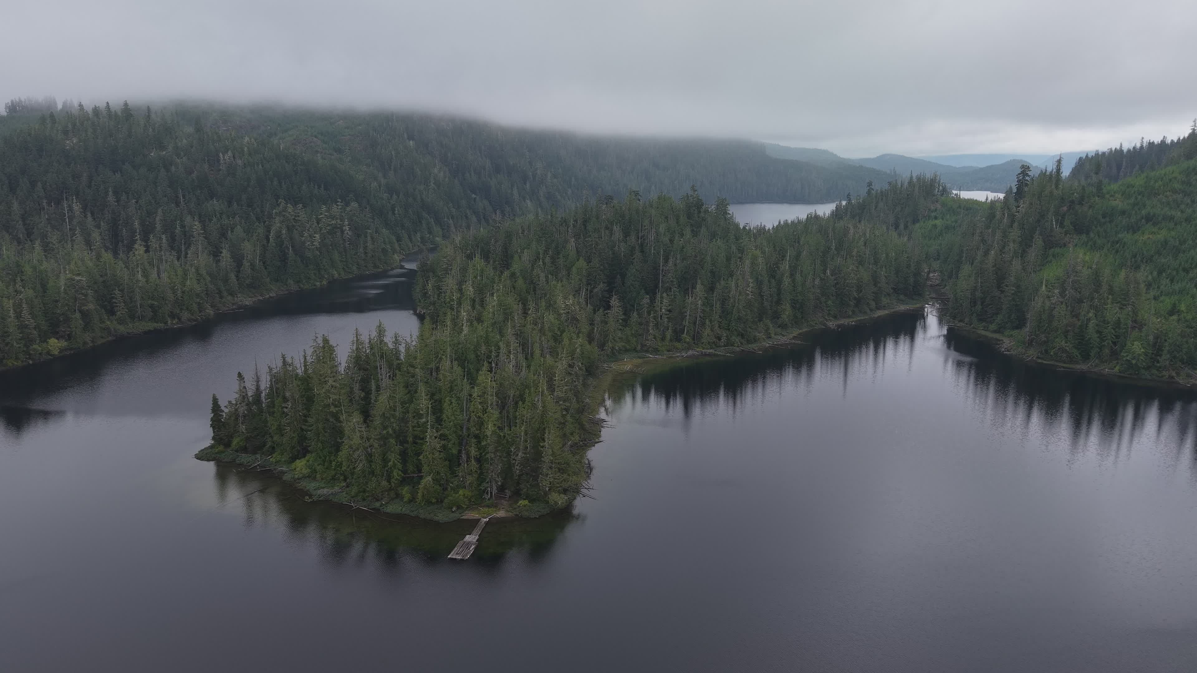 Serene Aerial View of Misty Forest Lake Free Stock Video Footage ...