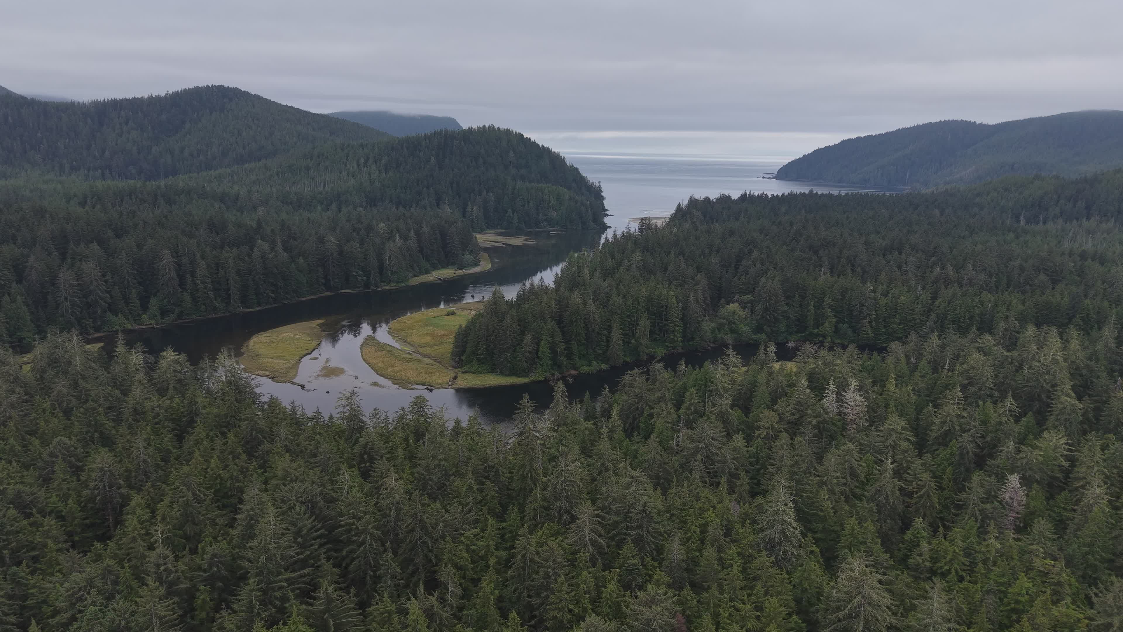 Serene Aerial View of Lush Forested Coastline Free Stock Video Footage ...