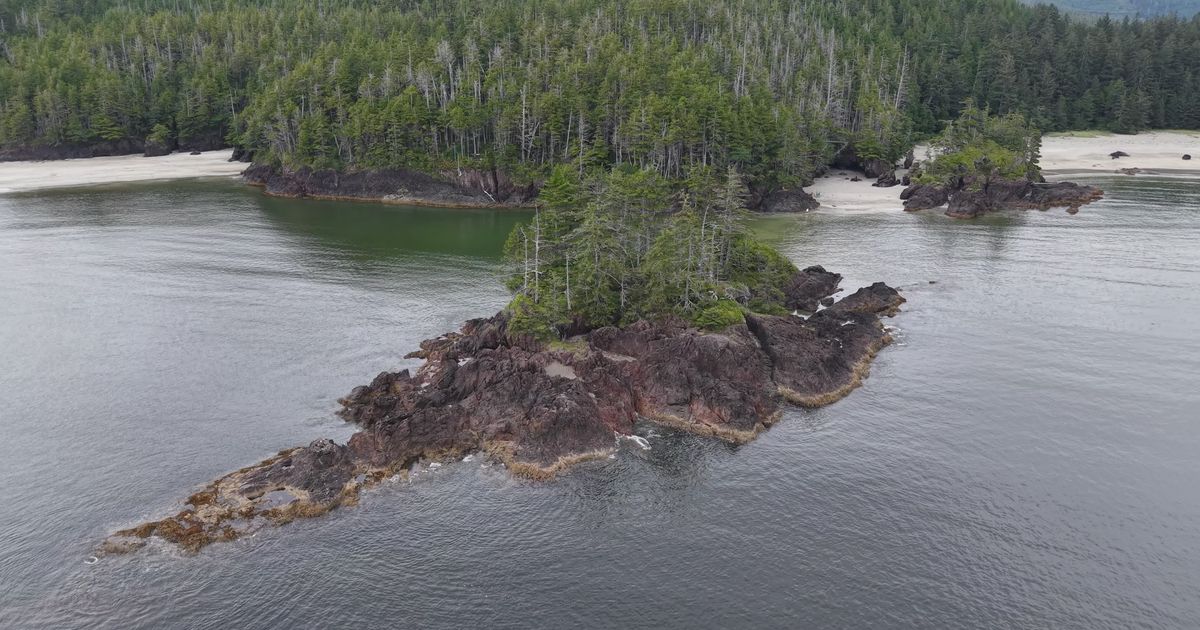 scenic aerial view of rugged west coast islands 35132745