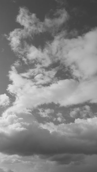 Altaf Shah's nature timelapse video