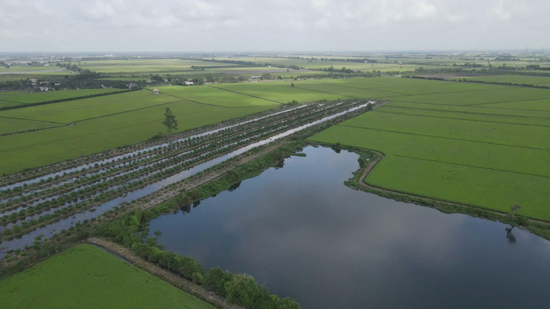 Vídeo profissional gratuito de agricultura, água, ambiente calmo, área ...