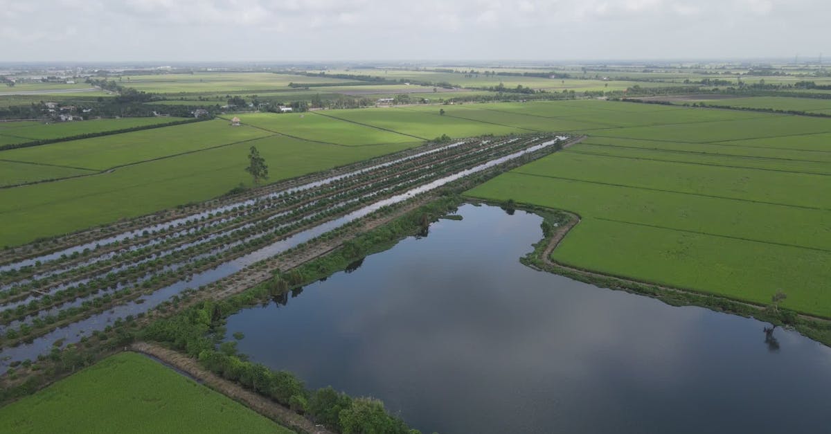 Vídeo profissional gratuito de agricultura, água, ambiente calmo, área ...