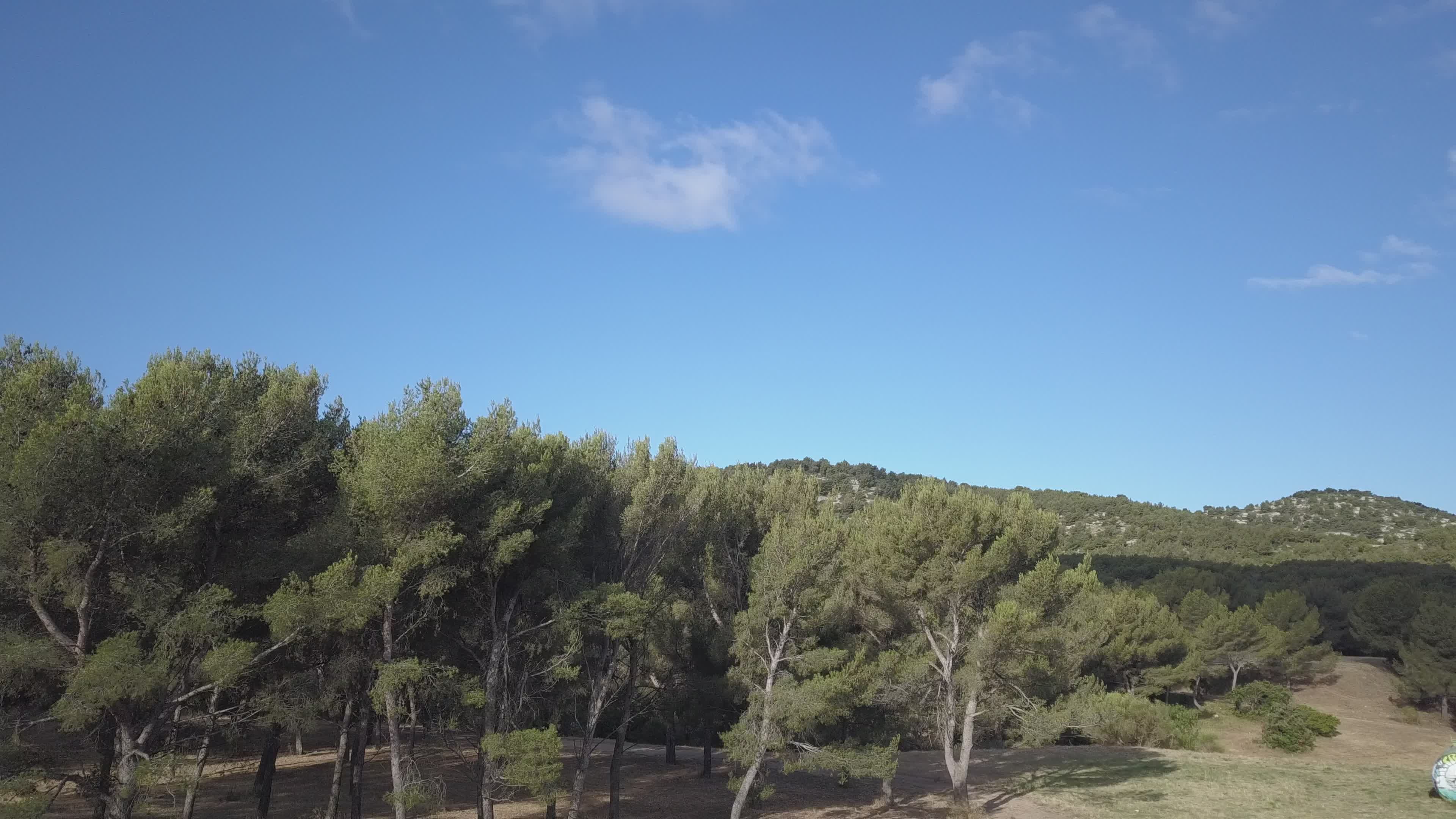 Majestic Aerial View of Lush Forest Landscape Free Stock Video Footage ...