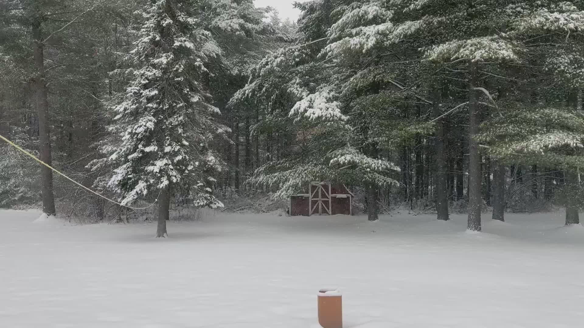 Winter Wonderland with Snow-Covered Trees Free Stock Video Footage ...