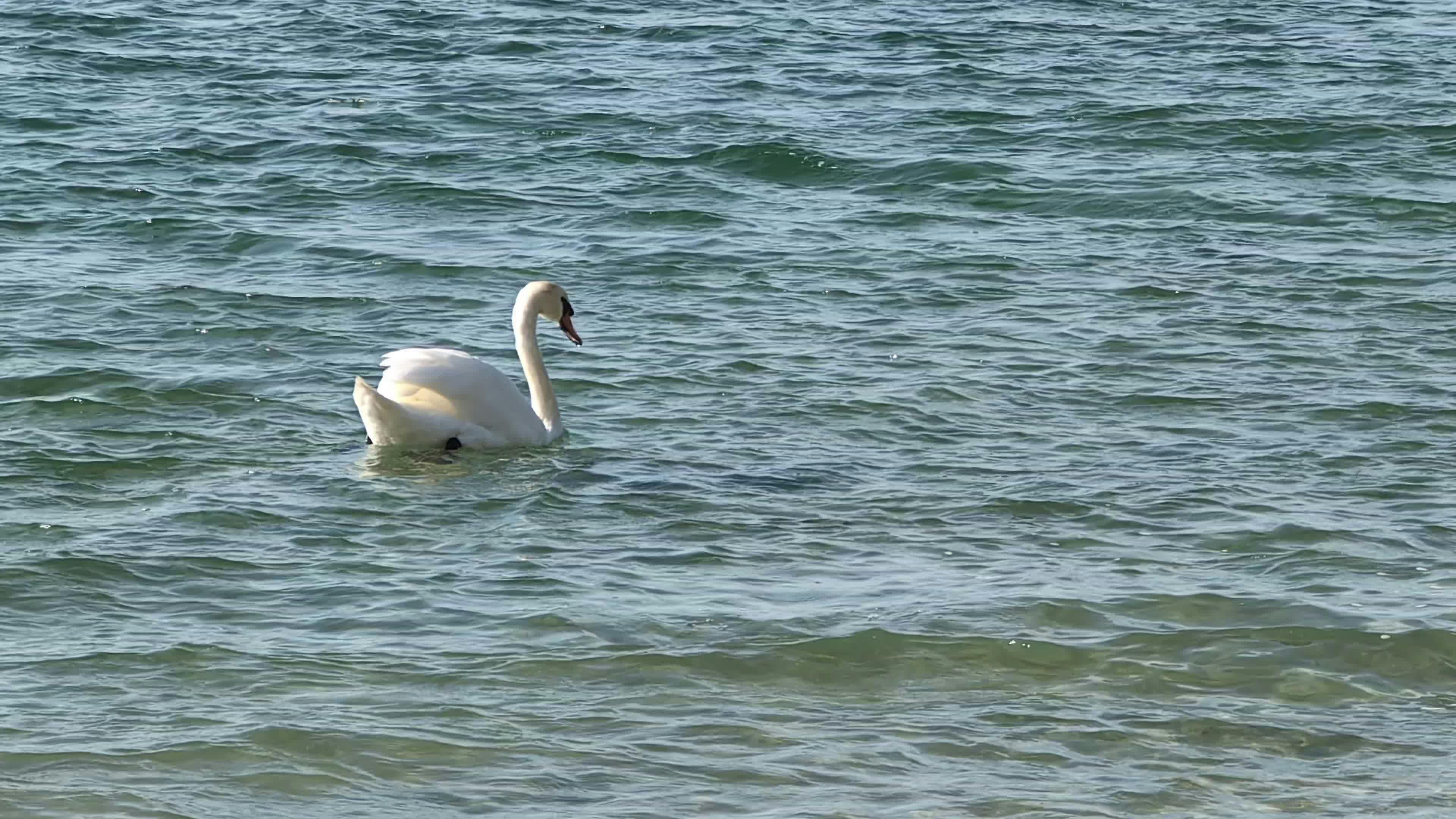 Floating Files Videos, Download The BEST Free 4k Stock Video Footage ...