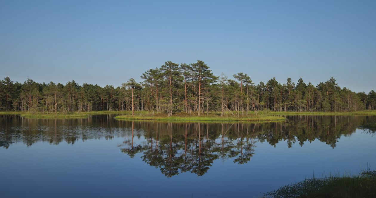 Serene Reflection of Forest on Tranquil Lake Free Stock Video Footage ...