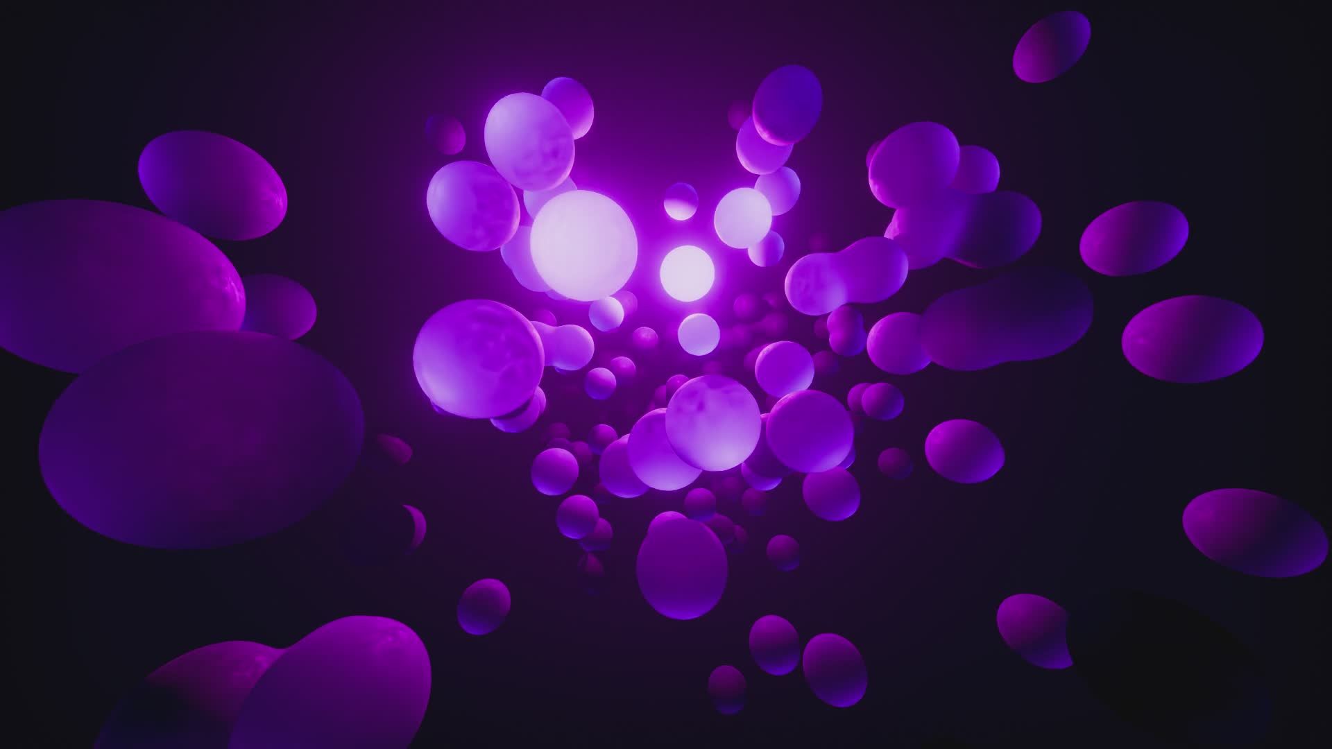 Video by Nicola Narracci