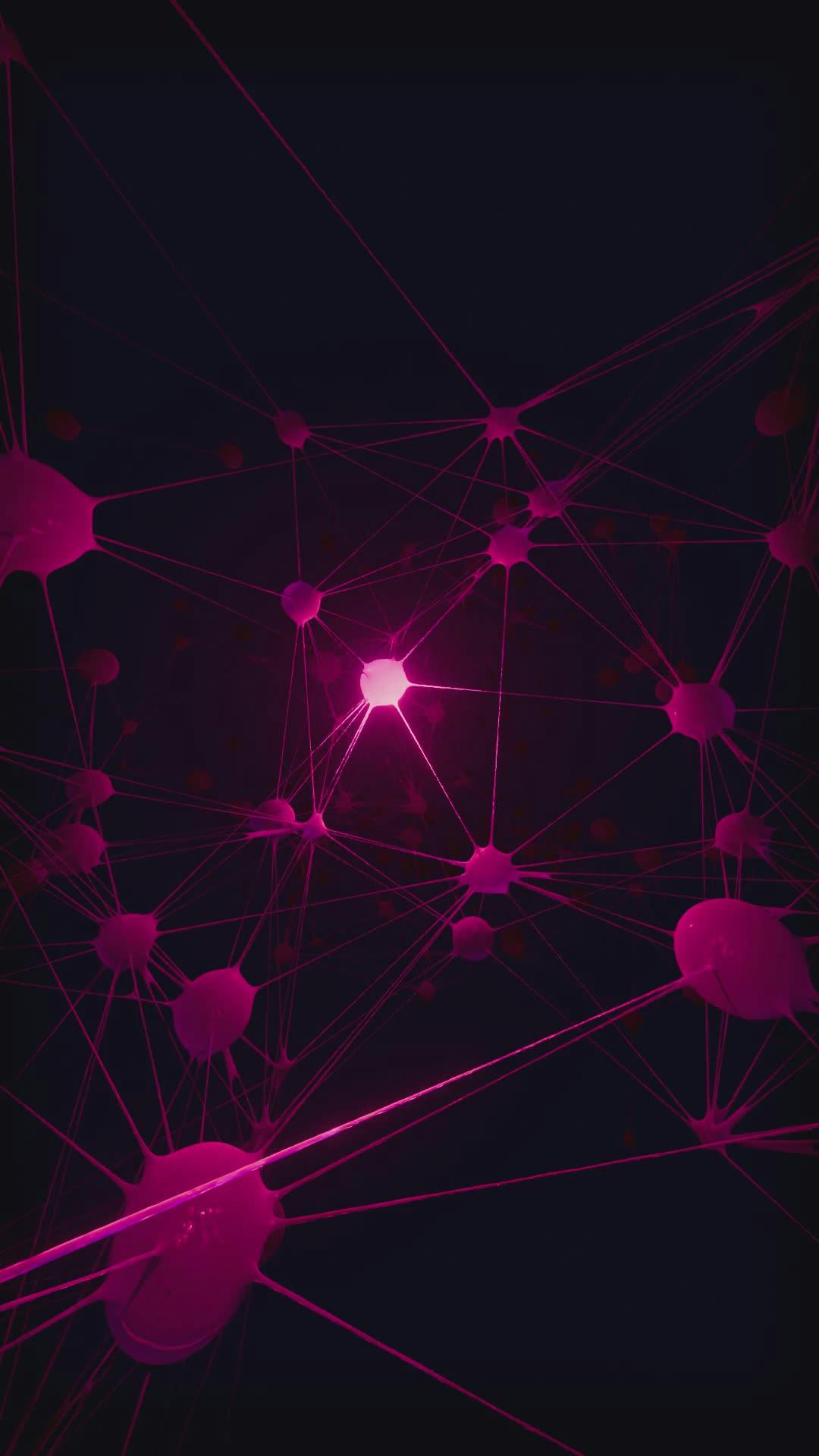 Video by Nicola Narracci