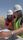 hard hat