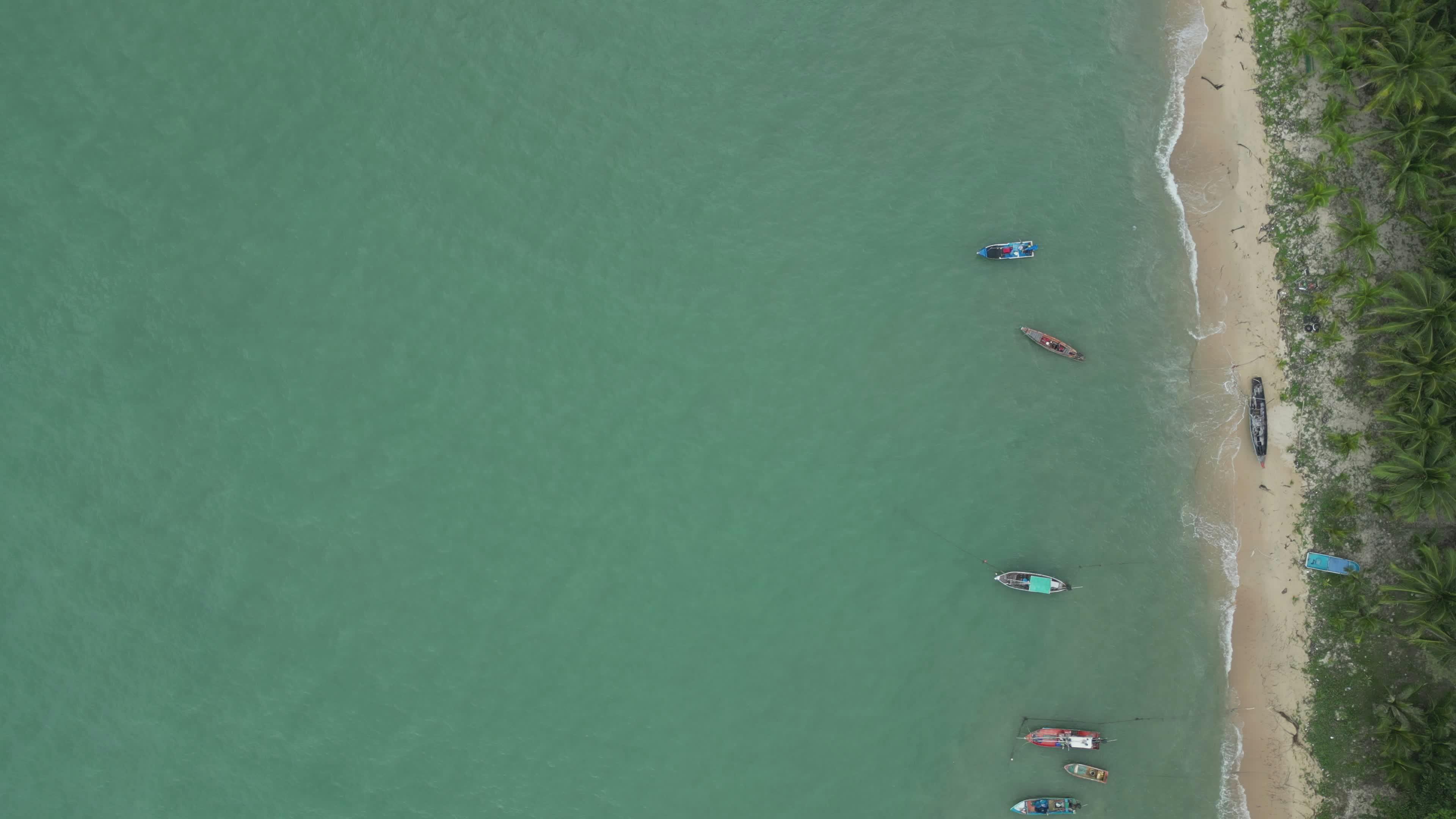 Video by Nirjhar Basak