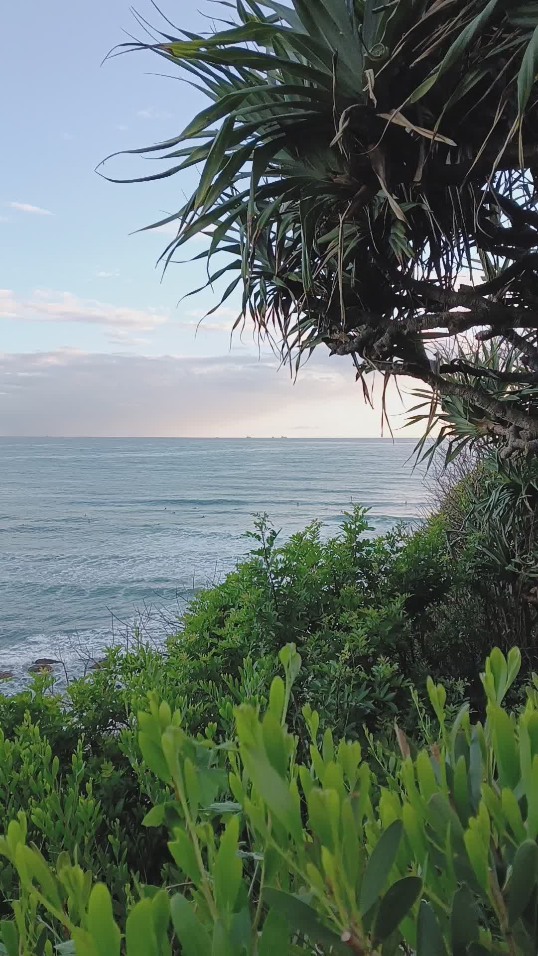Tropical Coastline View with Lush Vegetation Free Stock Video Footage ...